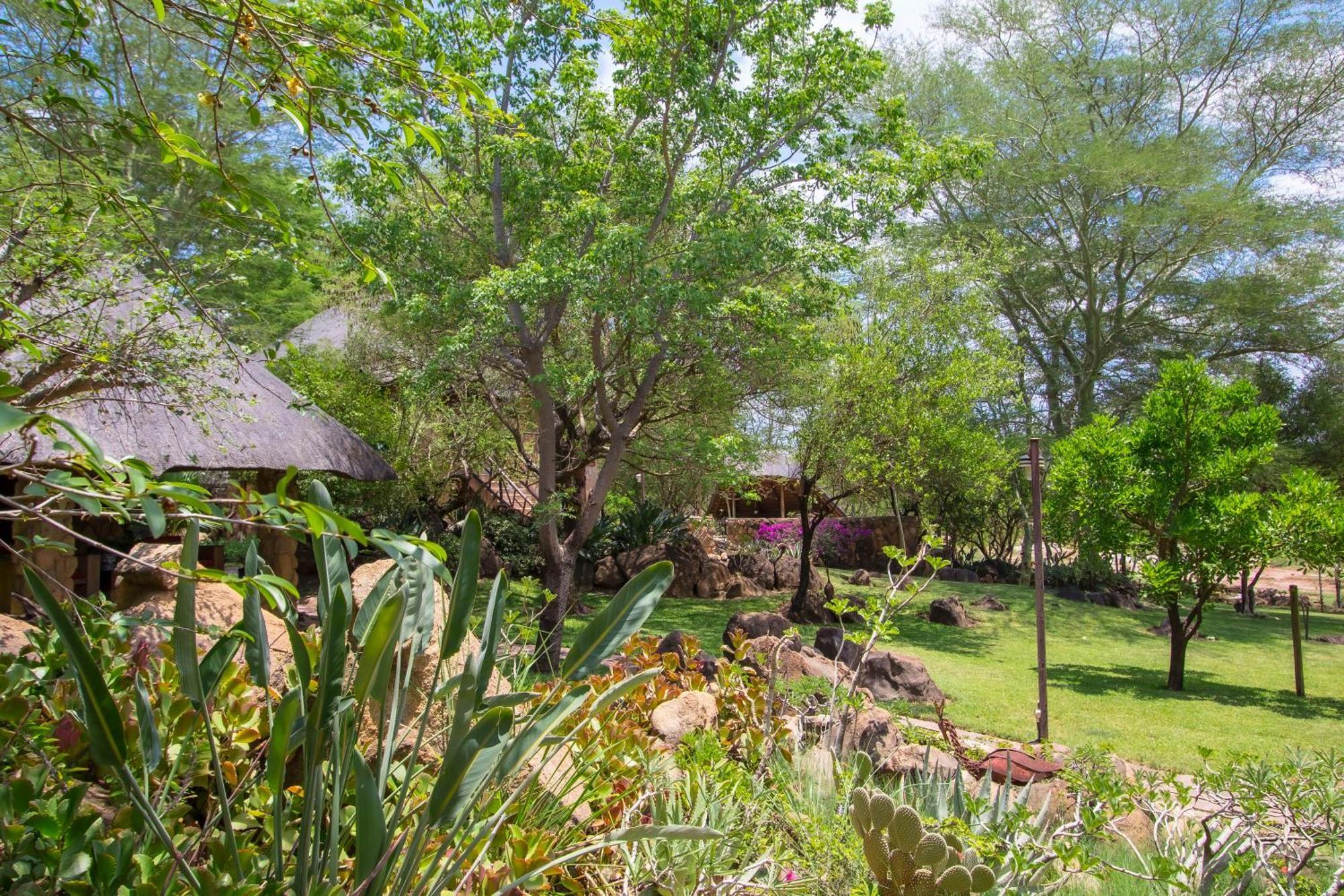 Hasekamp Family Bush Lodge Hoedspruit Esterno foto