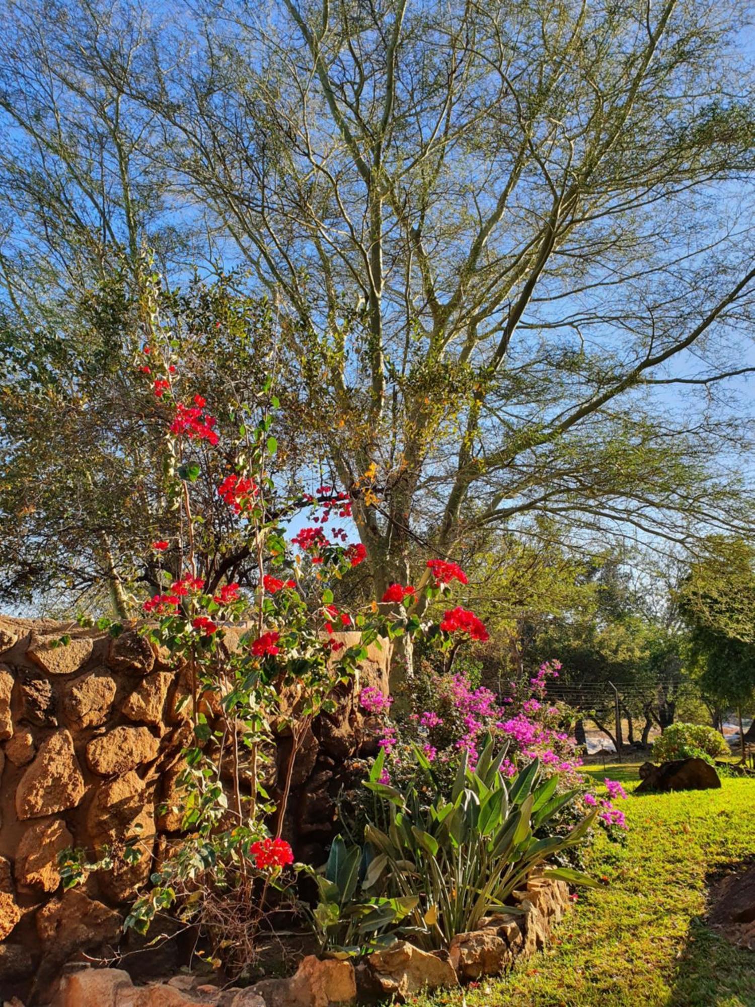 Hasekamp Family Bush Lodge Hoedspruit Esterno foto