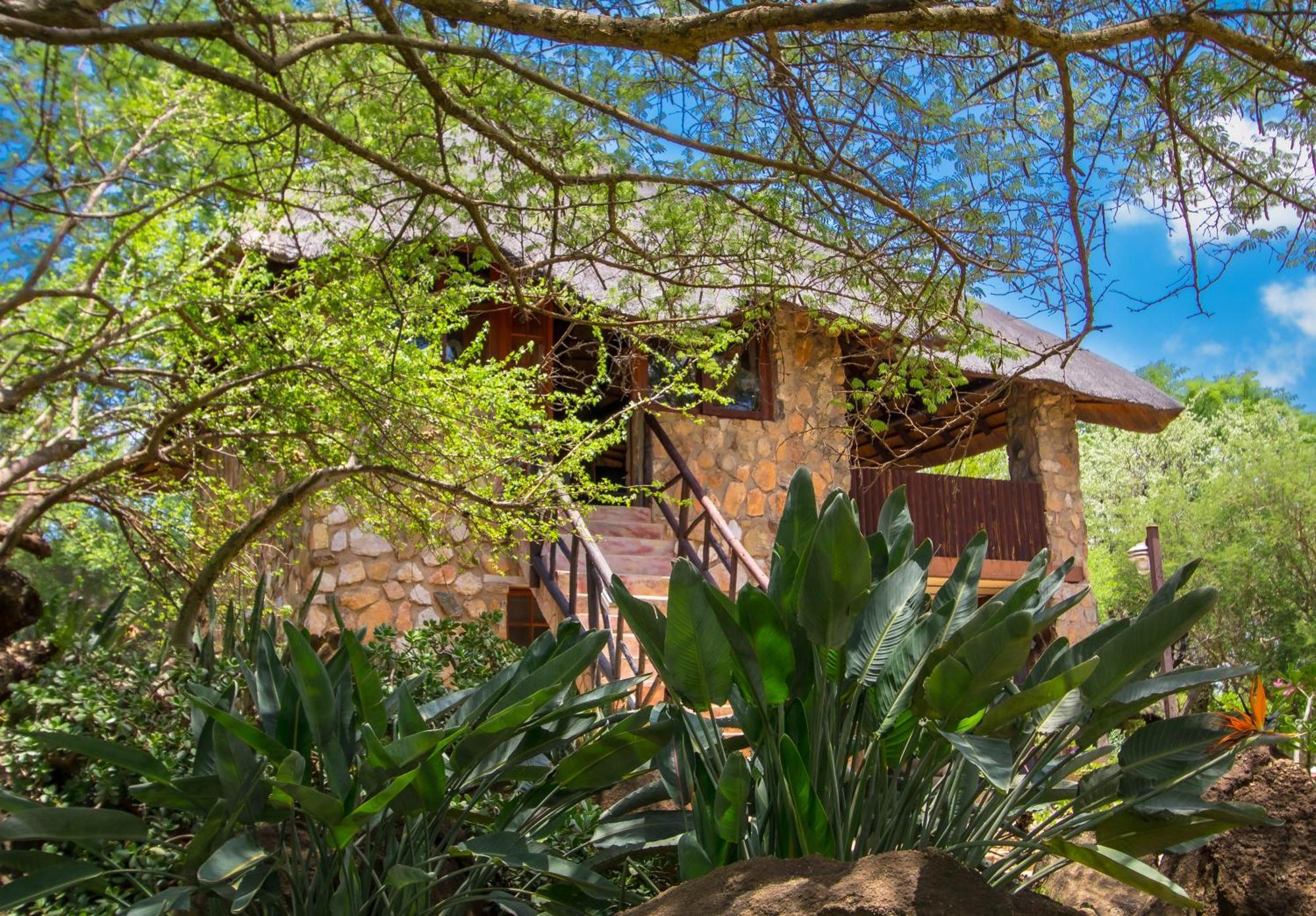 Hasekamp Family Bush Lodge Hoedspruit Esterno foto