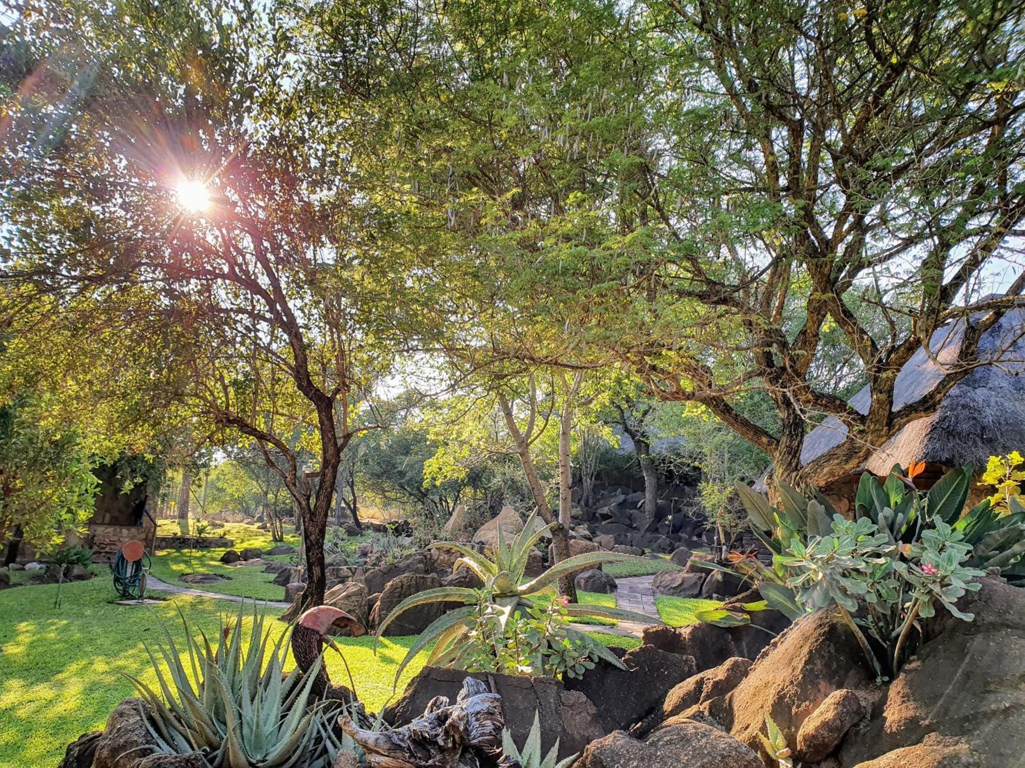 Hasekamp Family Bush Lodge Hoedspruit Esterno foto