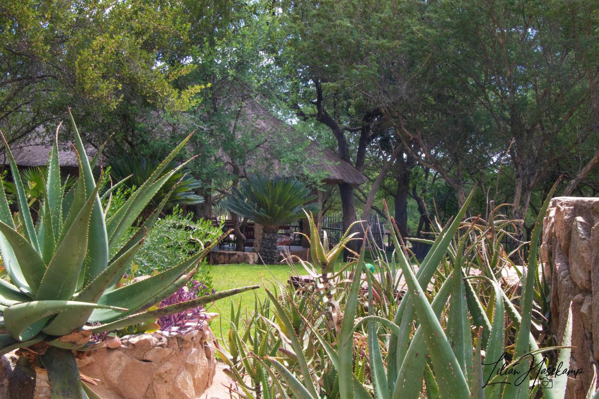 Hasekamp Family Bush Lodge Hoedspruit Esterno foto