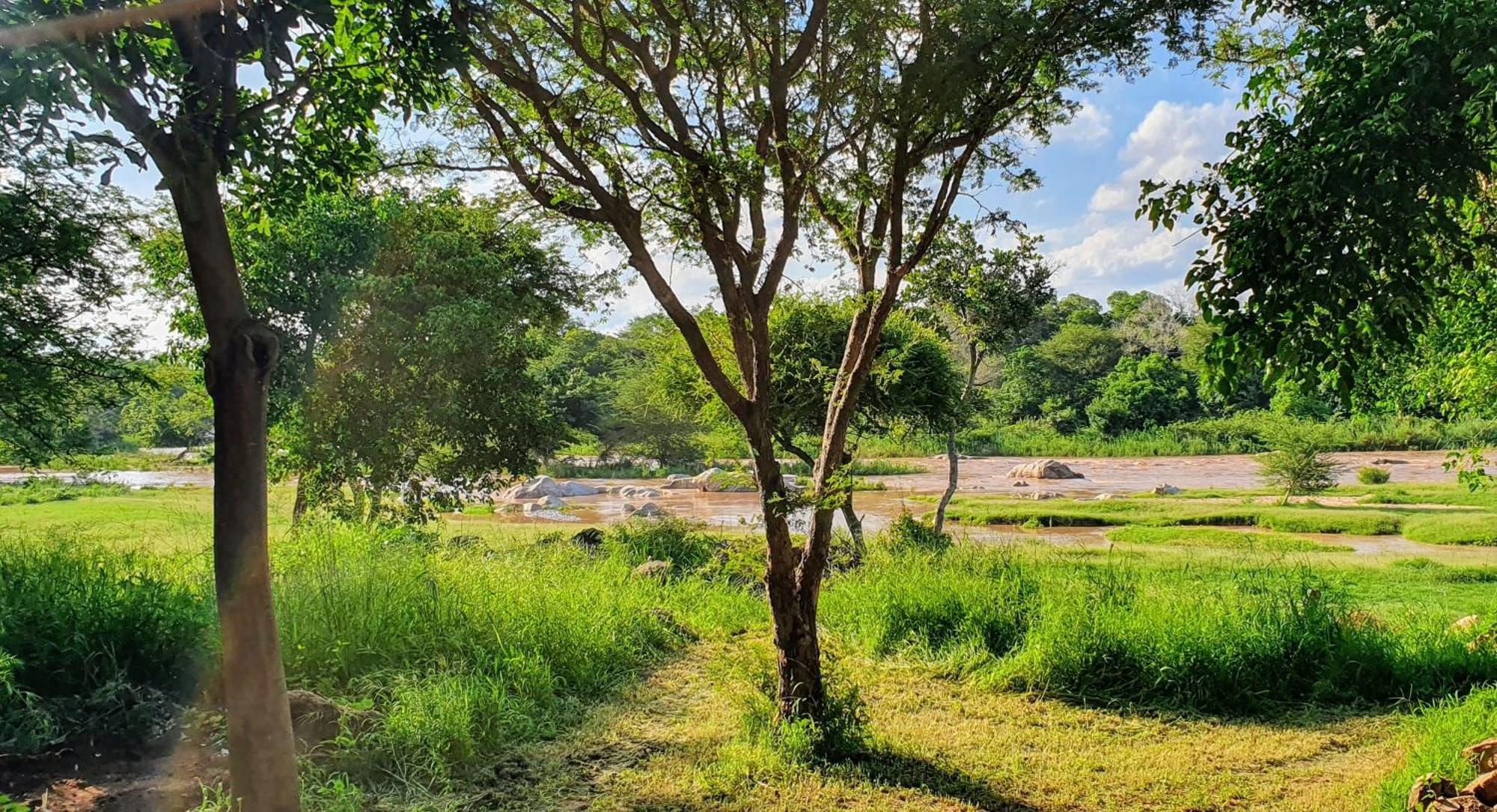 Hasekamp Family Bush Lodge Hoedspruit Esterno foto