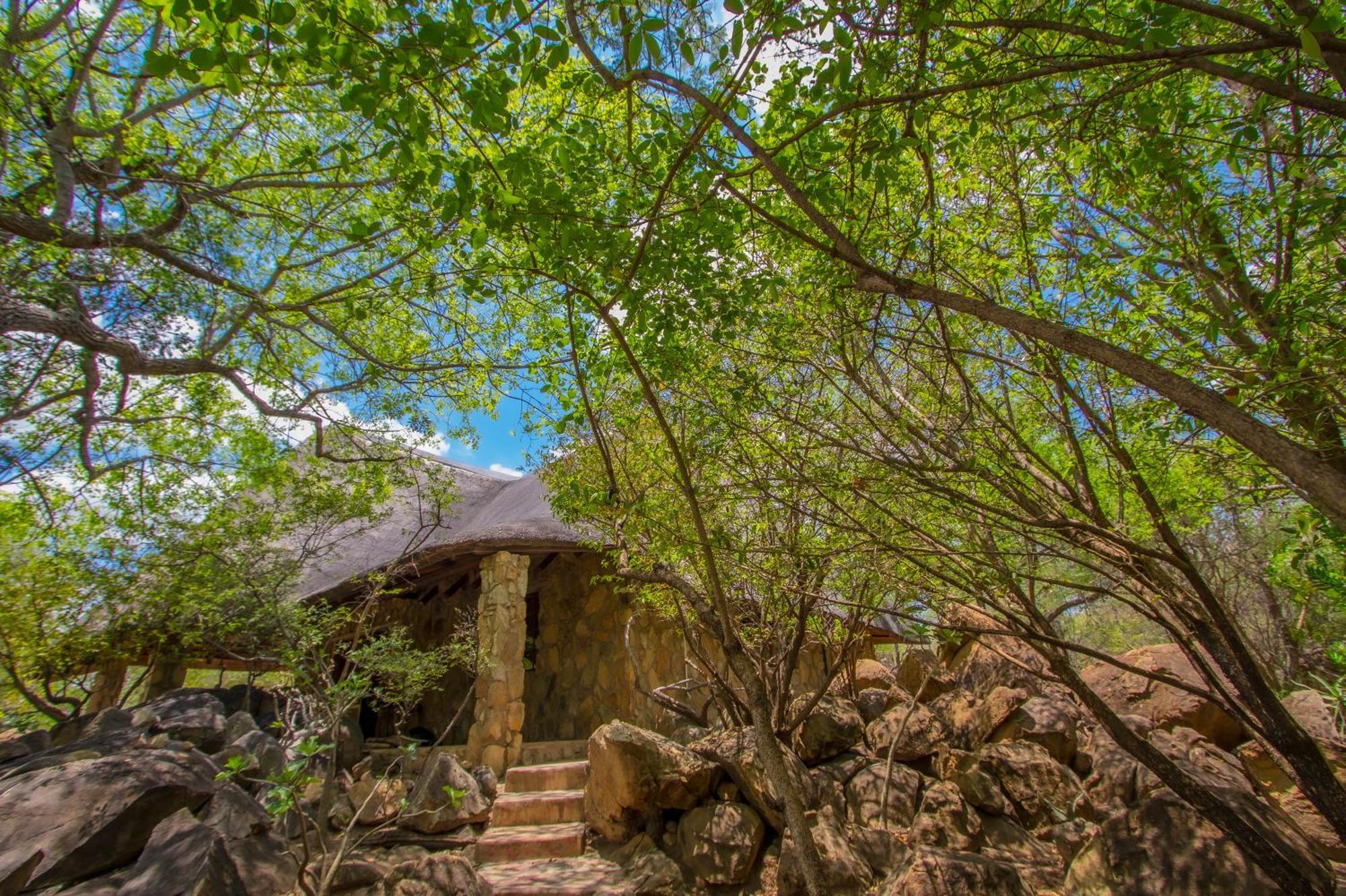 Hasekamp Family Bush Lodge Hoedspruit Esterno foto