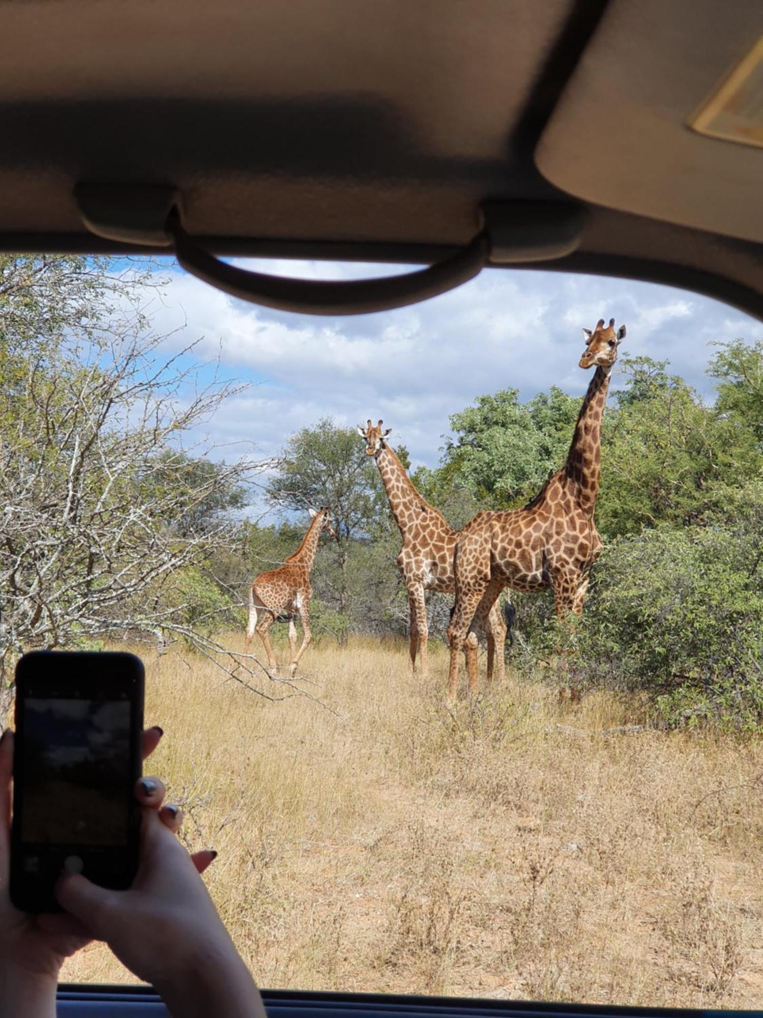 Hasekamp Family Bush Lodge Hoedspruit Esterno foto