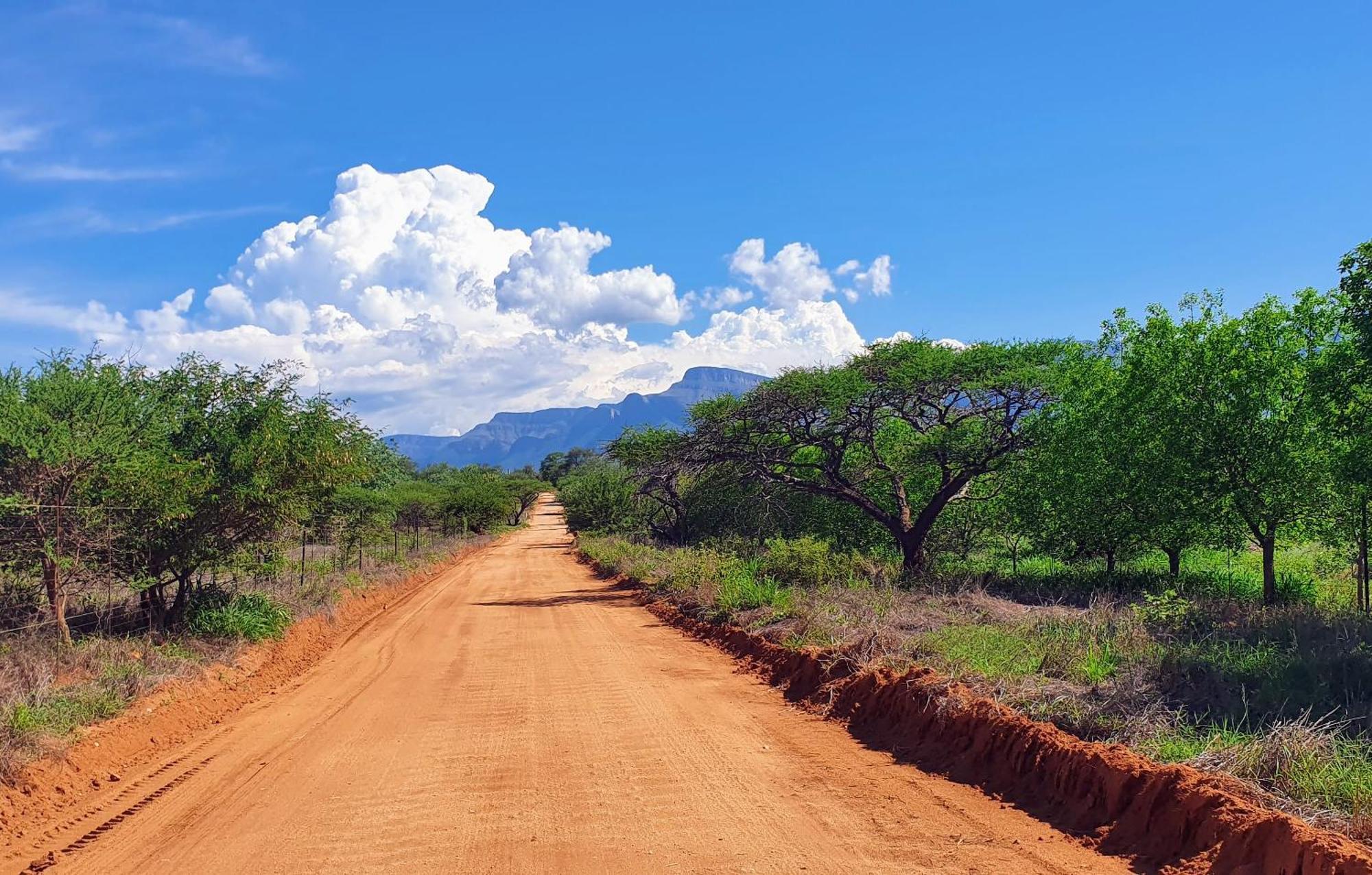 Hasekamp Family Bush Lodge Hoedspruit Esterno foto